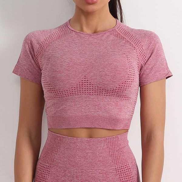 women's sport shirts seamless short sleeve crop workout yoga slim fit active running fitness t-shirts gym breathable outfit
women's sport shirts seamless short sleeve crop workout yoga slim fit active running fitness t-shirts gym breathable outfit