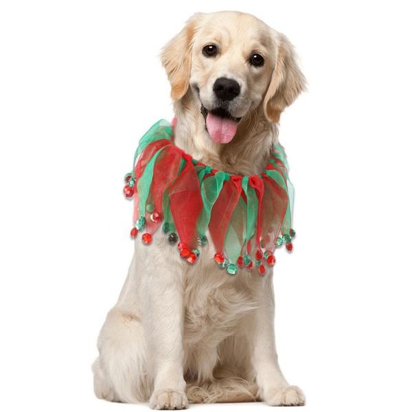 dog collars & leashes colorful pet halloween christmas color for cat party dress up accessories
dog collars & leashes colorful pet halloween christmas color for cat party dress up accessories