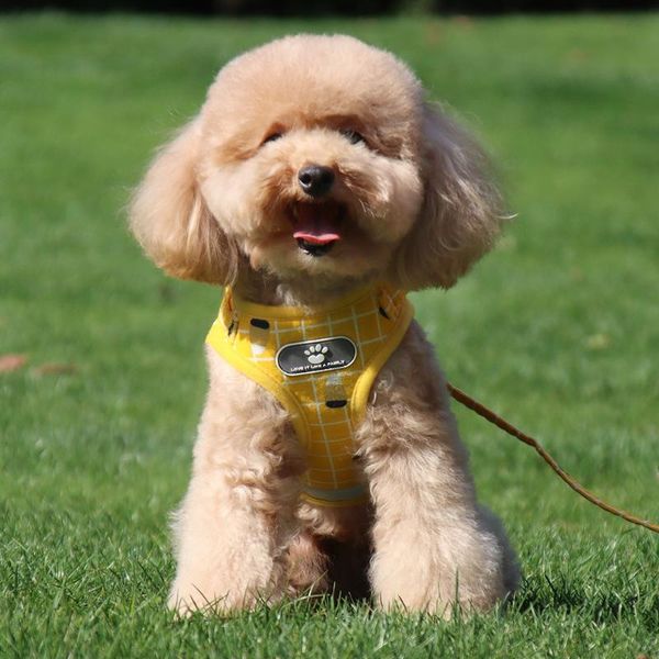 dog collars & leashes adjustable small cat vest harnesses harness reflective puppy kitten breathable mesh leash pug pet supplies
dog collars & leashes adjustable small cat vest harnesses harness reflective puppy kitten breathable mesh leash pug pet supplies