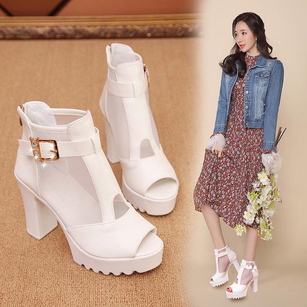 sandals lace gauze fish toe boots spring ankle breathable women's shoes high-heeled roman, Black
sandals lace gauze fish toe boots spring ankle breathable women's shoes high-heeled roman, Black