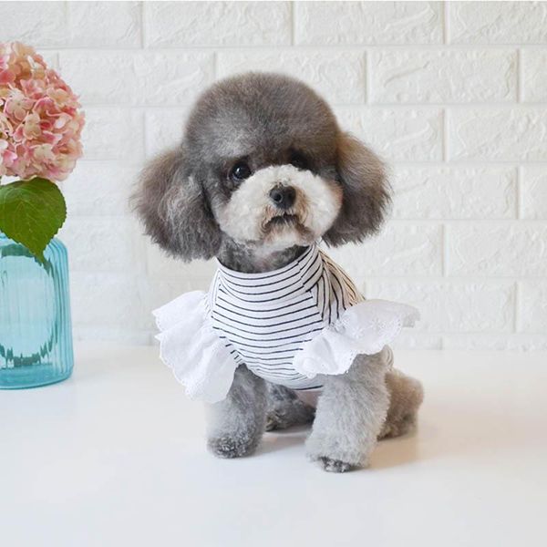 dog apparel 2021 100% cotton puppy bottoming shirt for dogs stripe flying sleeve vest pet clothes teddy chihuahua spring summer 10a
dog apparel 2021 100% cotton puppy bottoming shirt for dogs stripe flying sleeve vest pet clothes teddy chihuahua spring summer 10a