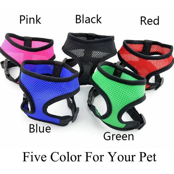 dog collars & leashes 2021 pet harness 5 color 4 size wholesale for xs-l red green blue black pink china
dog collars & leashes 2021 pet harness 5 color 4 size wholesale for xs-l red green blue black pink china