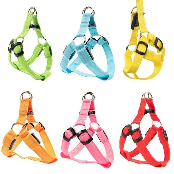 dog collars & leashes led nylon pet cat harness flashing rechargeable light collar safety leds leash rope belt accessories
dog collars & leashes led nylon pet cat harness flashing rechargeable light collar safety leds leash rope belt accessories