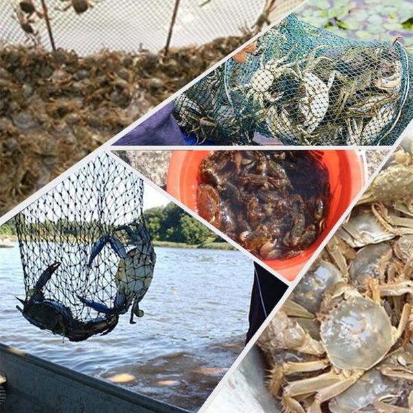 fishing bait foldable crab net trap cast dip cage fish crawfish portable nets accessories
fishing bait foldable crab net trap cast dip cage fish crawfish portable nets accessories