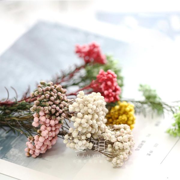 decorative flowers & wreaths 2g/bag diy handmade scented candle millet float decorated with eternal flower accessories preserved
decorative flowers & wreaths 2g/bag diy handmade scented candle millet float decorated with eternal flower accessories preserved