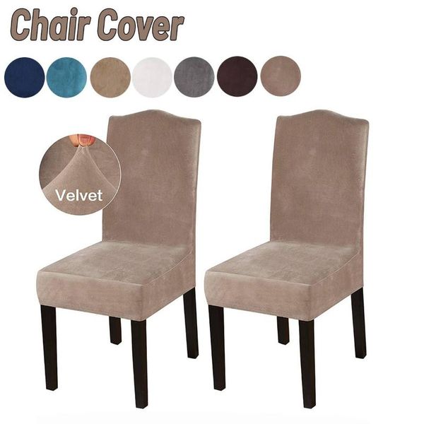 chair covers 2pcs velvet dining cover spandex elastic slipcover case for chairs office wedding room stretch
chair covers 2pcs velvet dining cover spandex elastic slipcover case for chairs office wedding room stretch