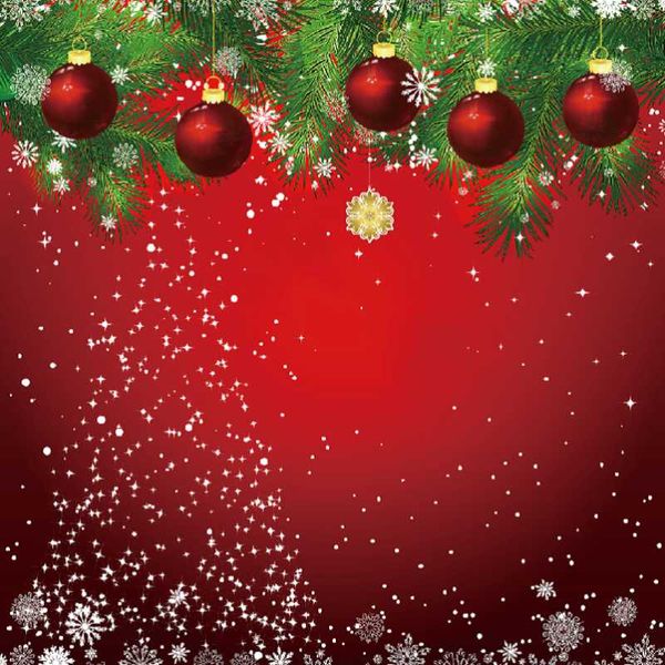 party decoration snowflake christmas backdrop winter year pography birthday merry xmas background baby shower decor pobooth props
party decoration snowflake christmas backdrop winter year pography birthday merry xmas background baby shower decor pobooth props