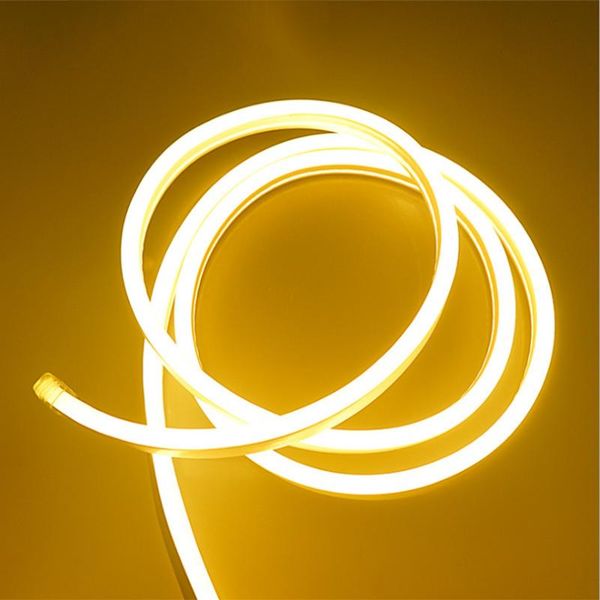 1-10m 2835 color neon led strip ac220v powered waterproof 120led/m flexible for christmas outdoor decoration lights strips
1-10m 2835 color neon led strip ac220v powered waterproof 120led/m flexible for christmas outdoor decoration lights strips