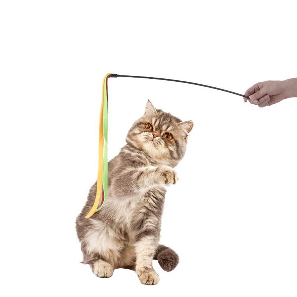 cat toys cute funny colorful strips rod teaser wand plastic pet for cats interactive stick supplies
cat toys cute funny colorful strips rod teaser wand plastic pet for cats interactive stick supplies