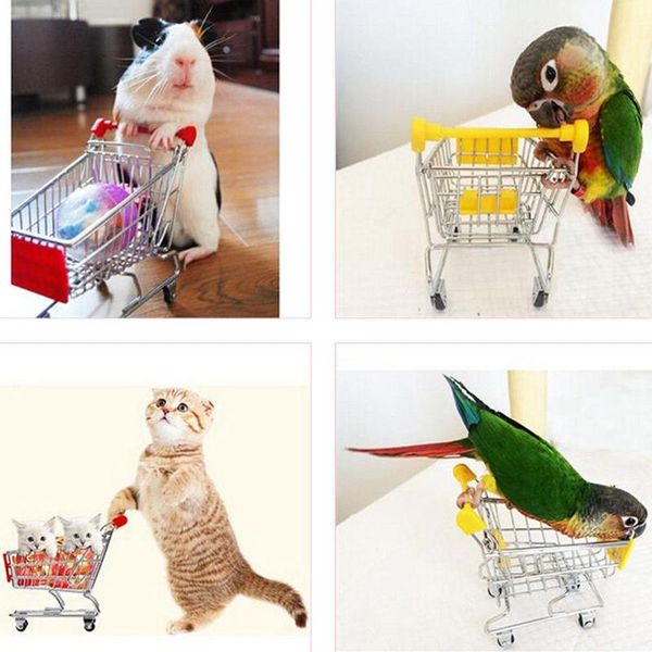 other bird supplies colorful funny mini supermarket shopping cart trolley pet parrot hamster toy for small pets
other bird supplies colorful funny mini supermarket shopping cart trolley pet parrot hamster toy for small pets