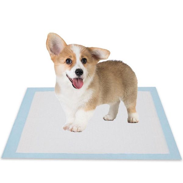 kennels & pens disposable pet diapers waterproof dog bed mats urine pad puppy pee fast absorbing rug for training
kennels & pens disposable pet diapers waterproof dog bed mats urine pad puppy pee fast absorbing rug for training