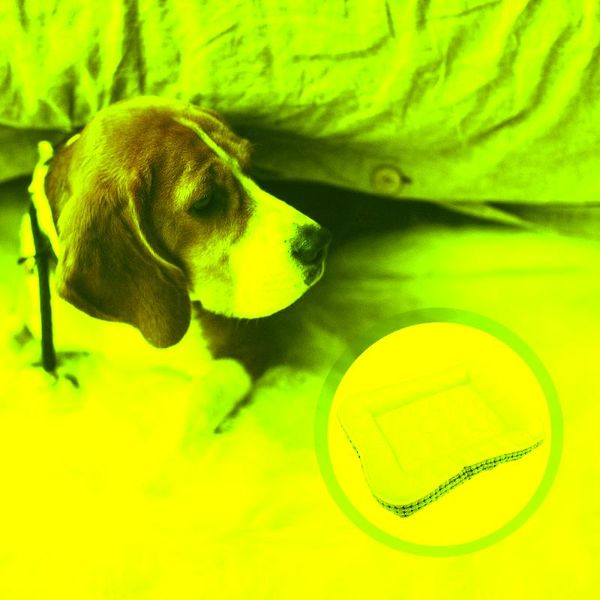 kennels & pens kennel cooling mat for dog puppy summer sleeping cushion pet bed cat nest
kennels & pens kennel cooling mat for dog puppy summer sleeping cushion pet bed cat nest