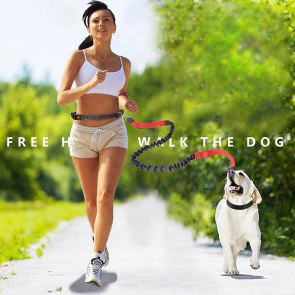 dog collars & leashes pet dogs leash running elasticity hand y pets training products harness collar jogging lead adjustable waist rope
dog collars & leashes pet dogs leash running elasticity hand y pets training products harness collar jogging lead adjustable waist rope
