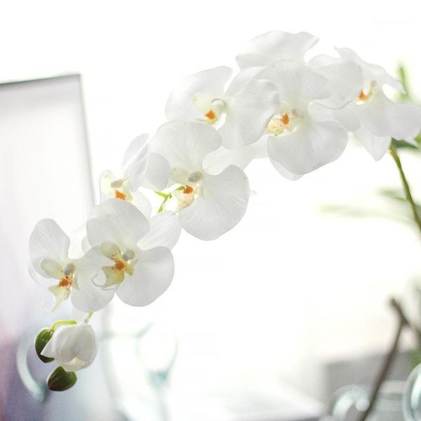 decorative flowers & wreaths nine heads real touch 3d print phalaenopsis hand feel artificial flower single branch wedding decoration for ho
decorative flowers & wreaths nine heads real touch 3d print phalaenopsis hand feel artificial flower single branch wedding decoration for ho
