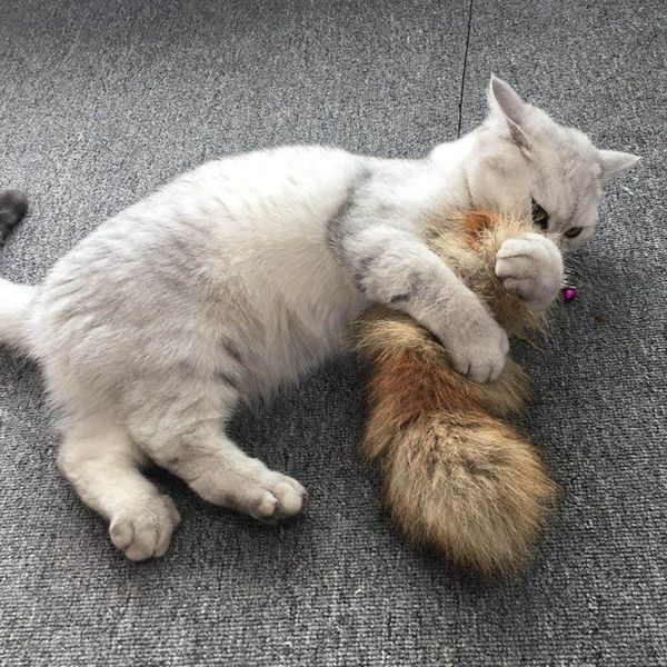 cat toys interactive stick feather wand with bell
cat toys interactive stick feather wand with bell