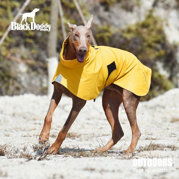 digner wide medium and large dog outdoor pet doberman weima leisure waterproof raincoat
digner wide medium and large dog outdoor pet doberman weima leisure waterproof raincoat