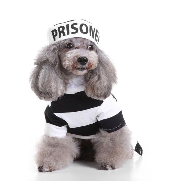 dog apparel pet halloween costume prisoner prison pooch party cosplay clothing jailbird clothes with hat for pug chihuahua
dog apparel pet halloween costume prisoner prison pooch party cosplay clothing jailbird clothes with hat for pug chihuahua
