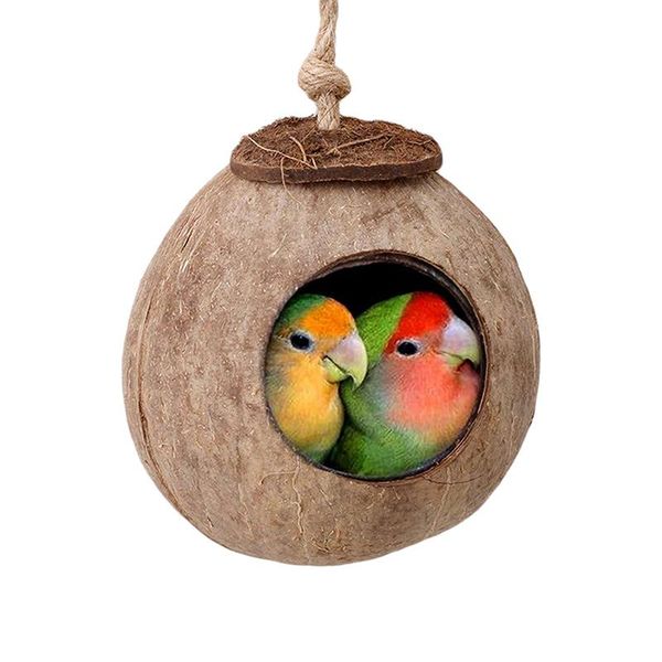 bird nest natural coconut shell little pet parrot cage house cottage round bed hammock birdhouse small animal supplies
bird nest natural coconut shell little pet parrot cage house cottage round bed hammock birdhouse small animal supplies