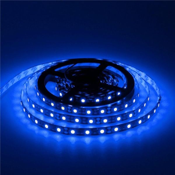 strips 50m dc12v smd 60leds/m uv 395-405nm ultraviolet purple flexible led strip light 5m/roll for home garden identify money
strips 50m dc12v smd 60leds/m uv 395-405nm ultraviolet purple flexible led strip light 5m/roll for home garden identify money