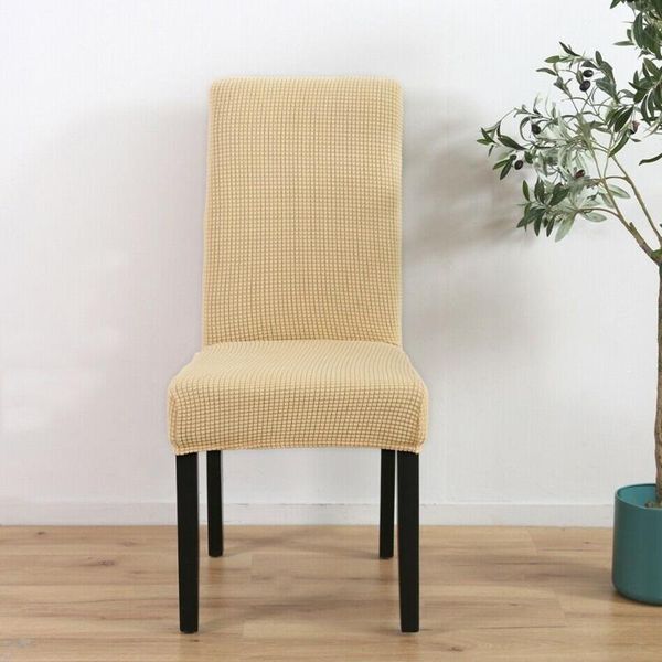 chair cover stretchy protector shell anti-mite slipcover home decor polyester waterproof washable textiles covers
chair cover stretchy protector shell anti-mite slipcover home decor polyester waterproof washable textiles covers