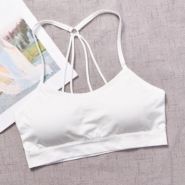 gym clothing shockproof fitness bra active seamless nylon padded push up underwears, White;black
gym clothing shockproof fitness bra active seamless nylon padded push up underwears, White;black