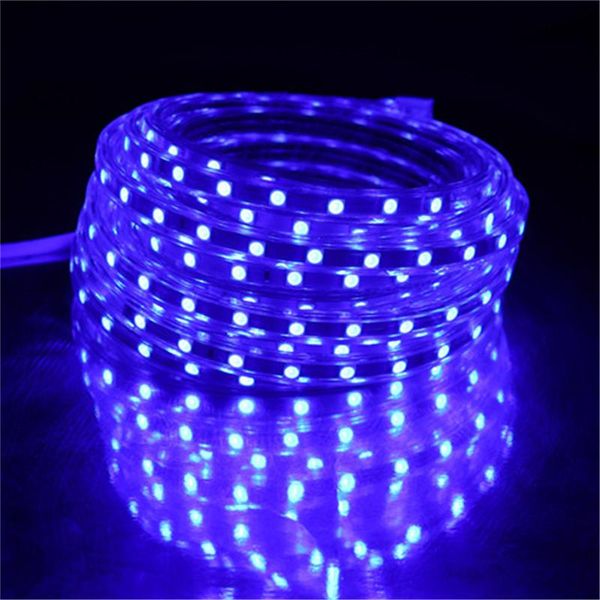 strips flexible led strip light ac220v 60leds/m waterproof ip67 tape with eu power plug 1m/2m/3m/4m/5m/10m/15m/20m
strips flexible led strip light ac220v 60leds/m waterproof ip67 tape with eu power plug 1m/2m/3m/4m/5m/10m/15m/20m