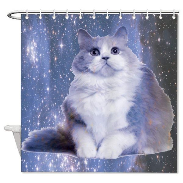 mammal felidae whiskers sky carnivore ragdoll kitten ragamuffin bath decorative shower curtain bathroom accessories,water proof
mammal felidae whiskers sky carnivore ragdoll kitten ragamuffin bath decorative shower curtain bathroom accessories,water proof