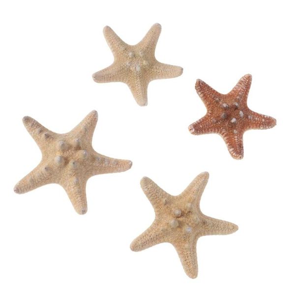 4pcs sea star carfts decoration diy beach cottage decor shell for wedding pography party home decoration(4-6cm) novelty items
4pcs sea star carfts decoration diy beach cottage decor shell for wedding pography party home decoration(4-6cm) novelty items