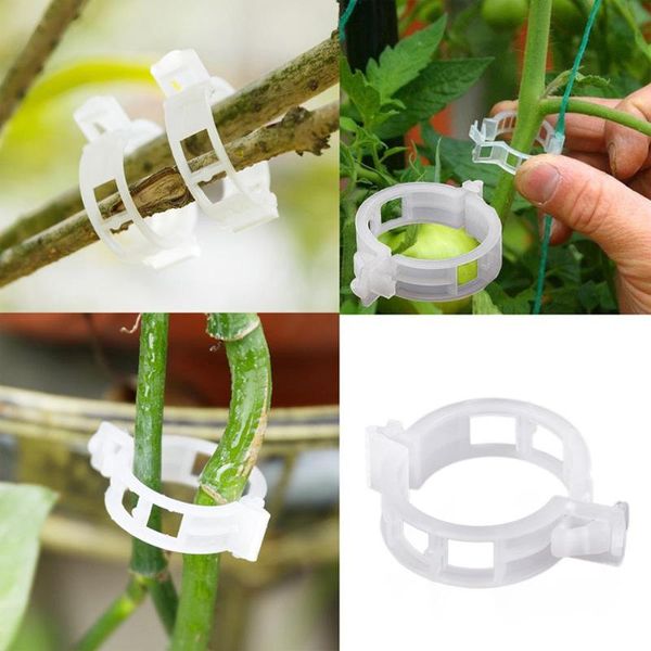 other garden supplies 50 pcs plastic plant support clips for tomato hanging trellis vine connects plants greenhouse vegetables ornament
other garden supplies 50 pcs plastic plant support clips for tomato hanging trellis vine connects plants greenhouse vegetables ornament