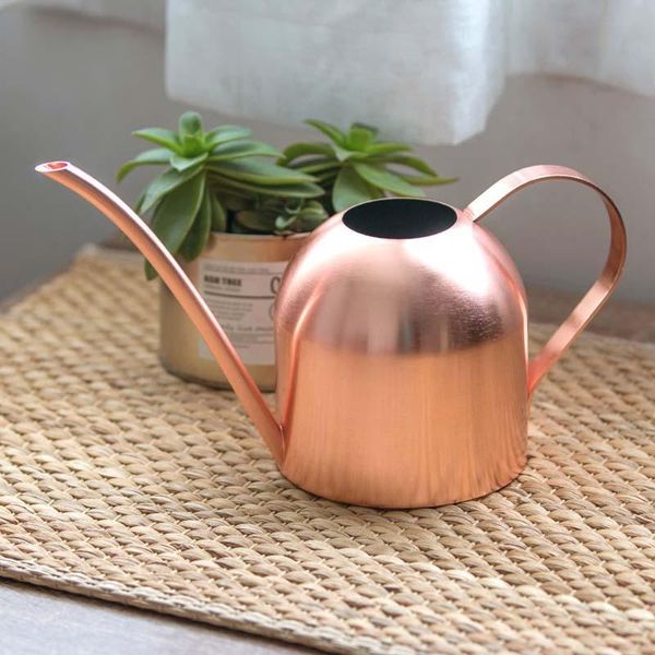 watering equipments long mouth water can stainless steel pot garden flower plants 500ml /1000ml kettle gardening tool
watering equipments long mouth water can stainless steel pot garden flower plants 500ml /1000ml kettle gardening tool