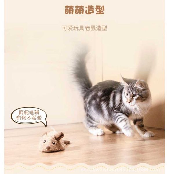 pulley mouse electronic toy kitty puzzle net red plush voice sliding pet products cat toys
pulley mouse electronic toy kitty puzzle net red plush voice sliding pet products cat toys