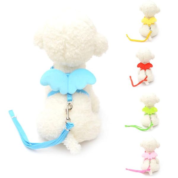 dog collars & leashes puppy pet harness leash set leads for small dogs cats angel wing breast-band accessories
dog collars & leashes puppy pet harness leash set leads for small dogs cats angel wing breast-band accessories