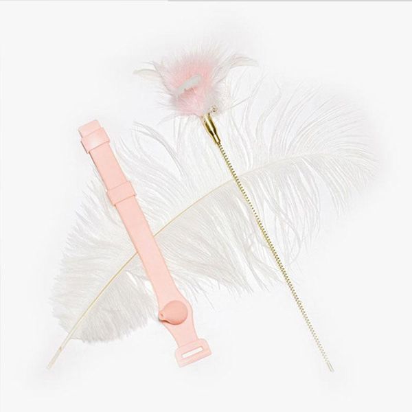 cat collar feather toys cats teaser teasing by feet with lazy magic device for kitten having fun exercise playing
cat collar feather toys cats teaser teasing by feet with lazy magic device for kitten having fun exercise playing