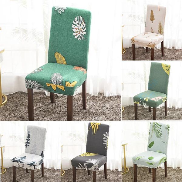 chair covers spandex wedding 100 pieces for dining room pack of 4 pcs party 6 colors
chair covers spandex wedding 100 pieces for dining room pack of 4 pcs party 6 colors