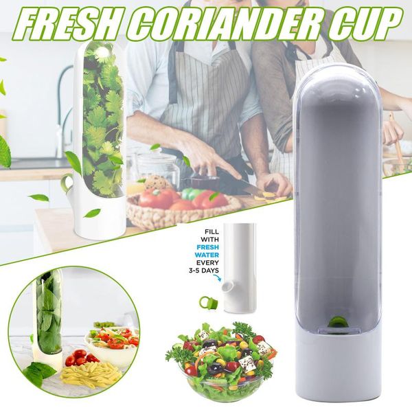 premium storage container fresh keeper savor preserver cup keeps greens and vegetables for 2x longer bottles & jars
premium storage container fresh keeper savor preserver cup keeps greens and vegetables for 2x longer bottles & jars