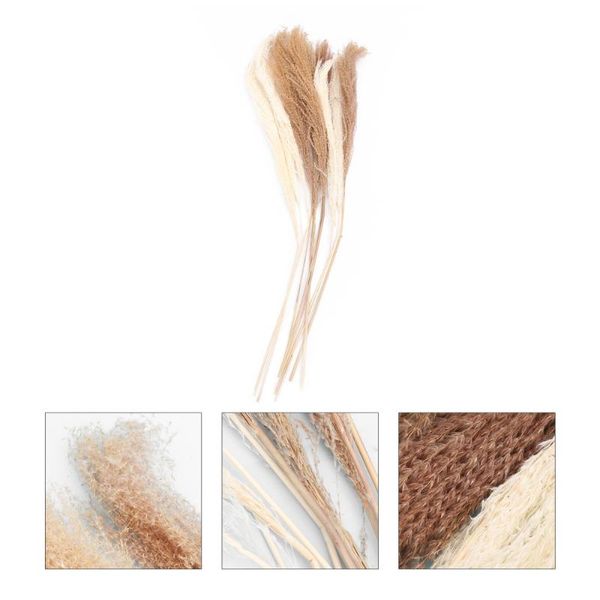 decorative flowers & wreaths 10pcs diy wedding decor creative dried reed party scene layout props
decorative flowers & wreaths 10pcs diy wedding decor creative dried reed party scene layout props