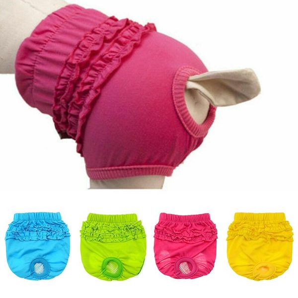 dog apparel cat summer underwear physiological pants pet shorts sanitary women diaper
dog apparel cat summer underwear physiological pants pet shorts sanitary women diaper