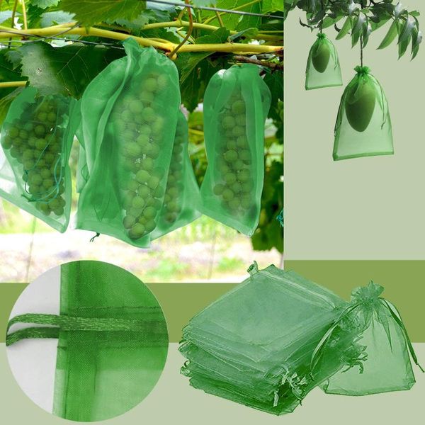 planters & pots 50pcs garden vegetable fruit grow bag plants protection bags anti-bird gardening drawstring netting grape apple mesh pouch #
planters & pots 50pcs garden vegetable fruit grow bag plants protection bags anti-bird gardening drawstring netting grape apple mesh pouch #