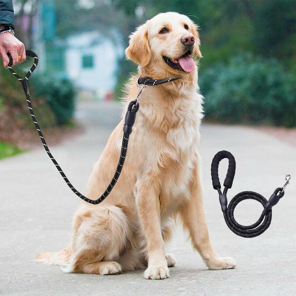dog collars & leashes pet leash rope nylon adjustable training lead strap traction harness collar running
dog collars & leashes pet leash rope nylon adjustable training lead strap traction harness collar running