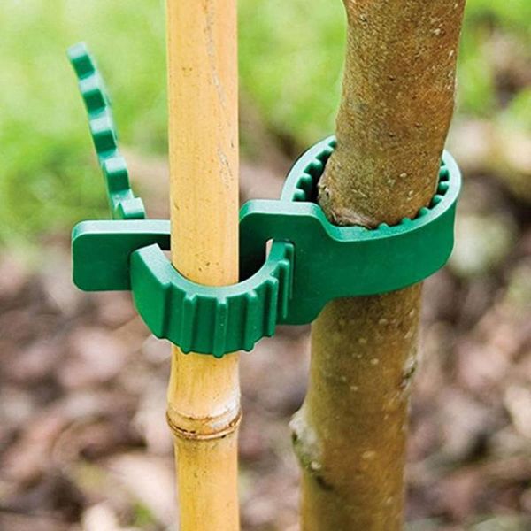 other garden supplies 10pcs reusable adjustable tree fixing buckle plastic climbing plants ties plant cages
other garden supplies 10pcs reusable adjustable tree fixing buckle plastic climbing plants ties plant cages