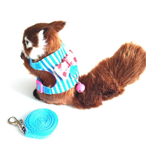 dog collars & leashes stripe bow chinchilla hamster small pet squirrel harness cartoon vest clothes with lead leash rope collar for mouse 29
dog collars & leashes stripe bow chinchilla hamster small pet squirrel harness cartoon vest clothes with lead leash rope collar for mouse 29