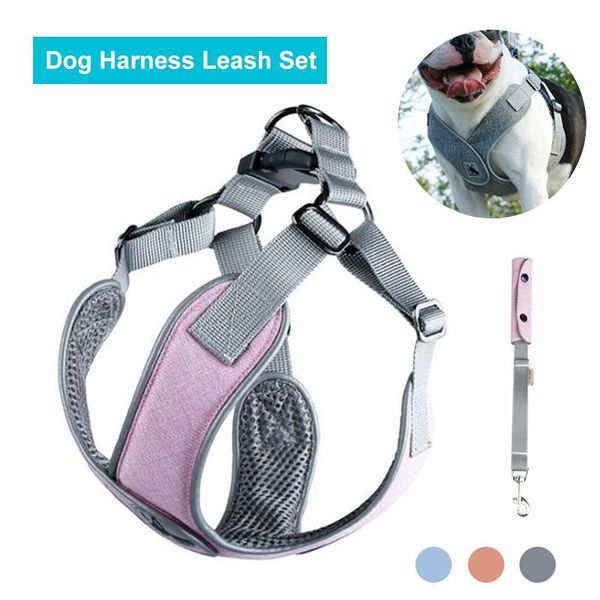 dog collars & leashes explosion-proof dogs harnesses suit reflective adjustable breathable pets vest leash personality walking run pet produ
dog collars & leashes explosion-proof dogs harnesses suit reflective adjustable breathable pets vest leash personality walking run pet produ
