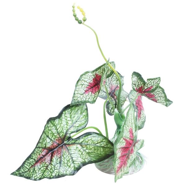 artificial plastic fabric aquascaping plant grass for fish tank aquarium decorations
artificial plastic fabric aquascaping plant grass for fish tank aquarium decorations