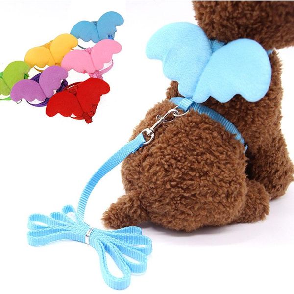 cat collars & leads cute angel wing small dog harness and leash set adjustable puppy nylon strap collar pet walking for cats
cat collars & leads cute angel wing small dog harness and leash set adjustable puppy nylon strap collar pet walking for cats