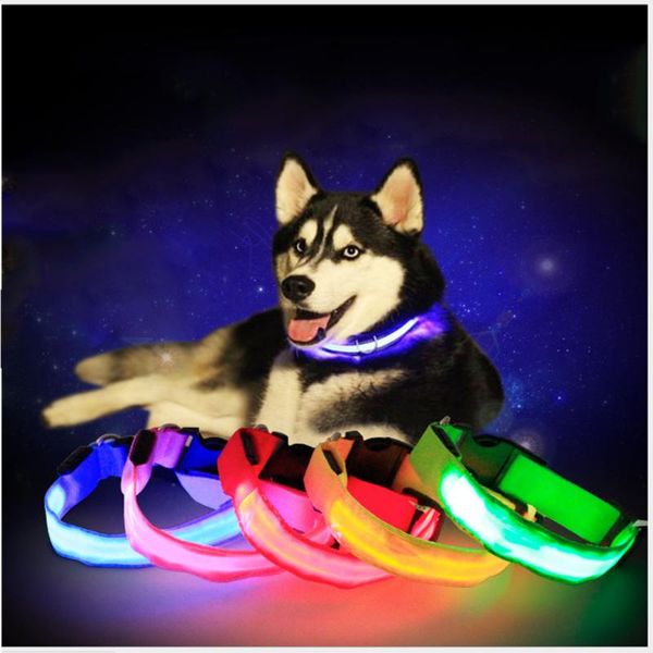 nylon led dog collar adjustable glowing in dark safety pet luminous light for s m l size collars & leashes
nylon led dog collar adjustable glowing in dark safety pet luminous light for s m l size collars & leashes