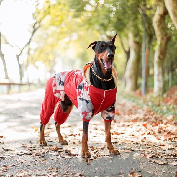 dog apparel medium-large clothes winter plush thick cotton golden retriever labrador doberman husky coats jacket
dog apparel medium-large clothes winter plush thick cotton golden retriever labrador doberman husky coats jacket