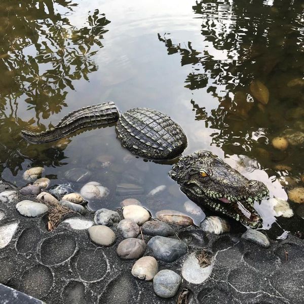 garden decorations resin floating crocodile statue pond animal decoration park pool simulation incredible
garden decorations resin floating crocodile statue pond animal decoration park pool simulation incredible