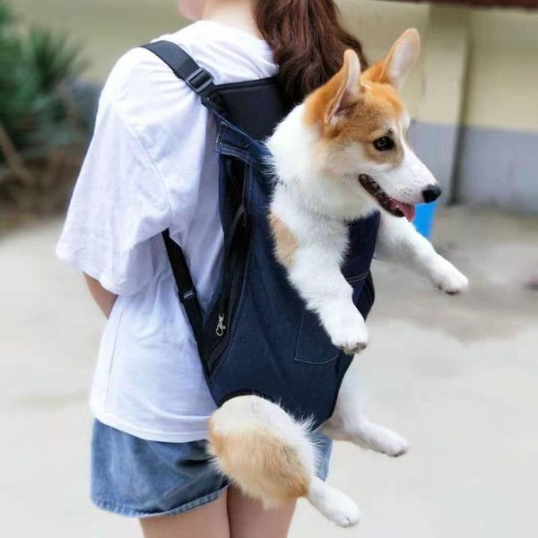 dog car seat covers summer -selling travel bag teddy backpack pet breathable cat and shoulder pack strap chest back
dog car seat covers summer -selling travel bag teddy backpack pet breathable cat and shoulder pack strap chest back