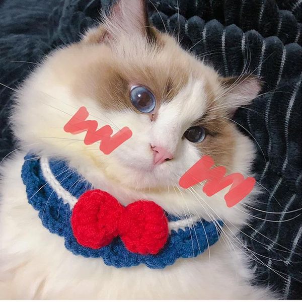 cat collars & leads pet collar knitting dog kitten cute accessories scarf christmas year harness leash
cat collars & leads pet collar knitting dog kitten cute accessories scarf christmas year harness leash