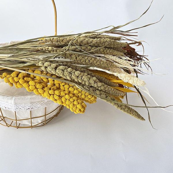 decorative flowers & wreaths 10pcs natural dried flower millet spike pampas grass nordic style bouquet wedding holiday decoration home decor
decorative flowers & wreaths 10pcs natural dried flower millet spike pampas grass nordic style bouquet wedding holiday decoration home decor